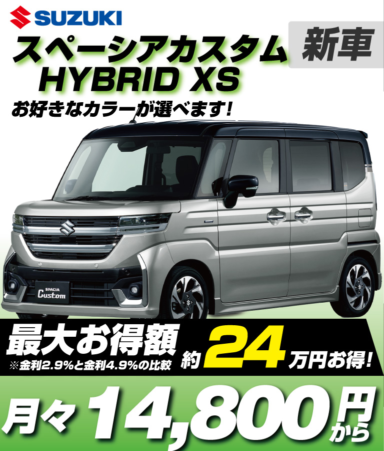 HYBRID XS