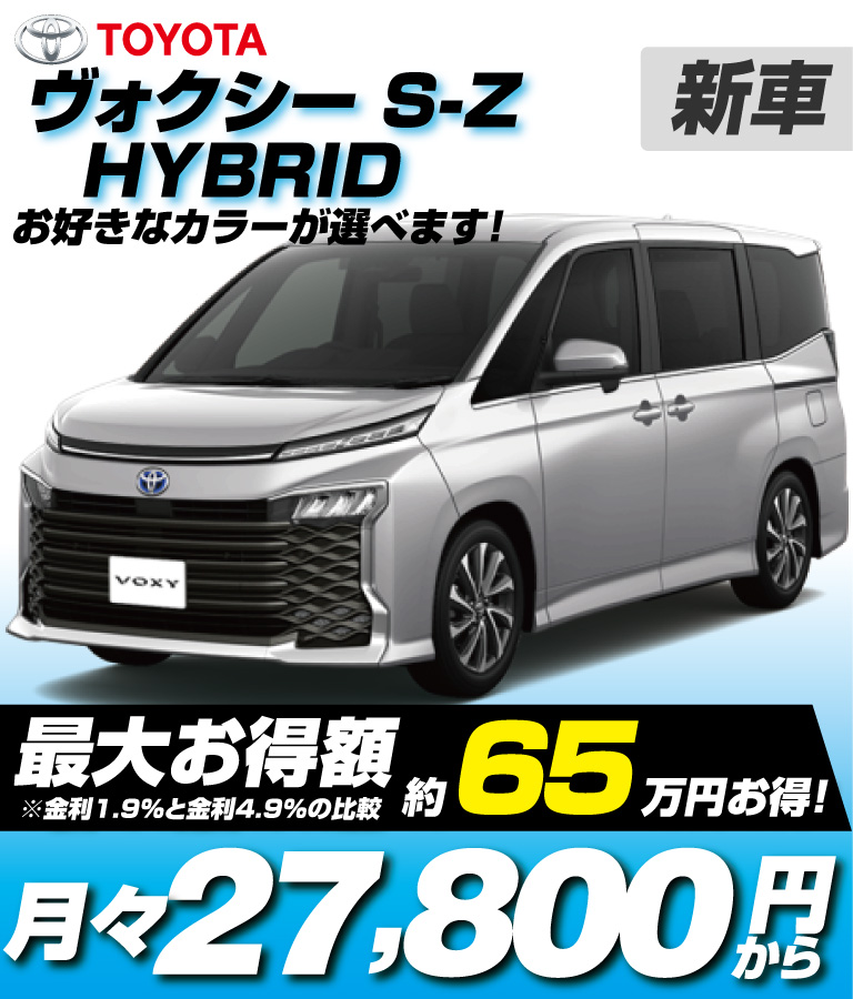 HYBRID S-Z