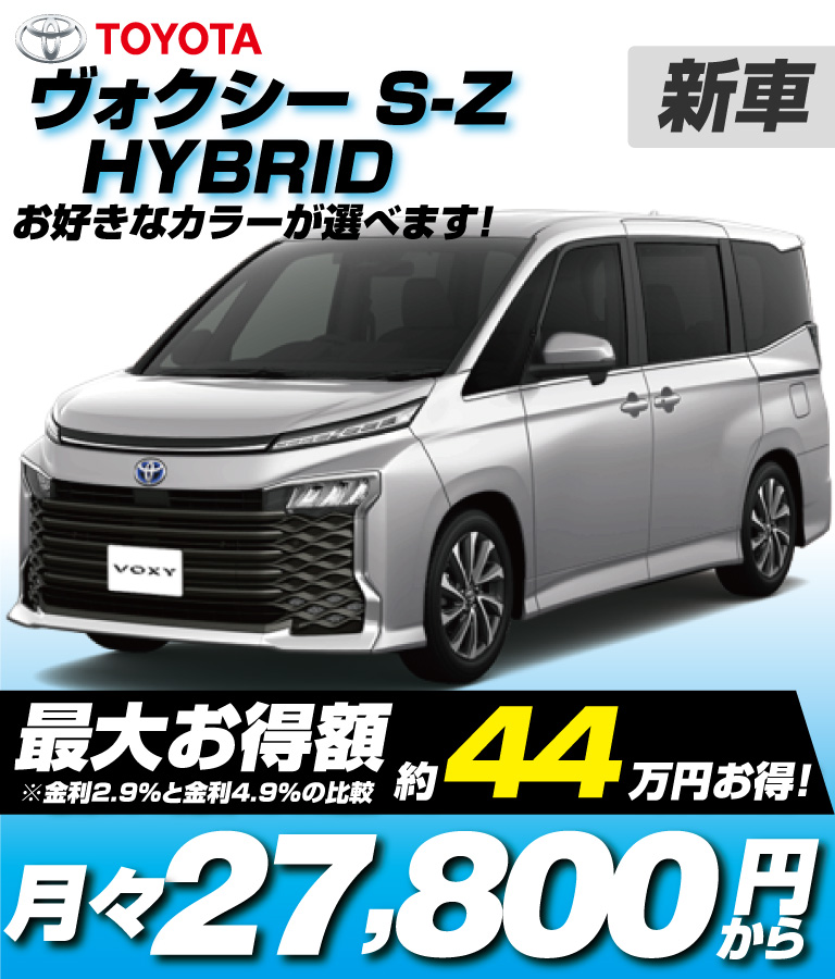 HYBRID S-Z