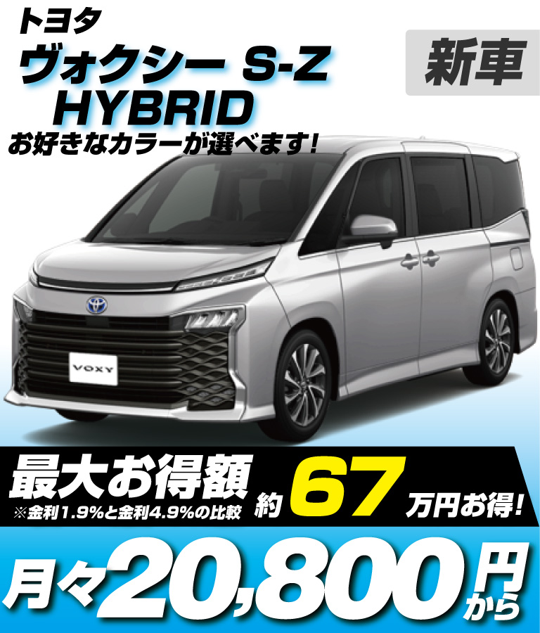 HYBRID S-Z