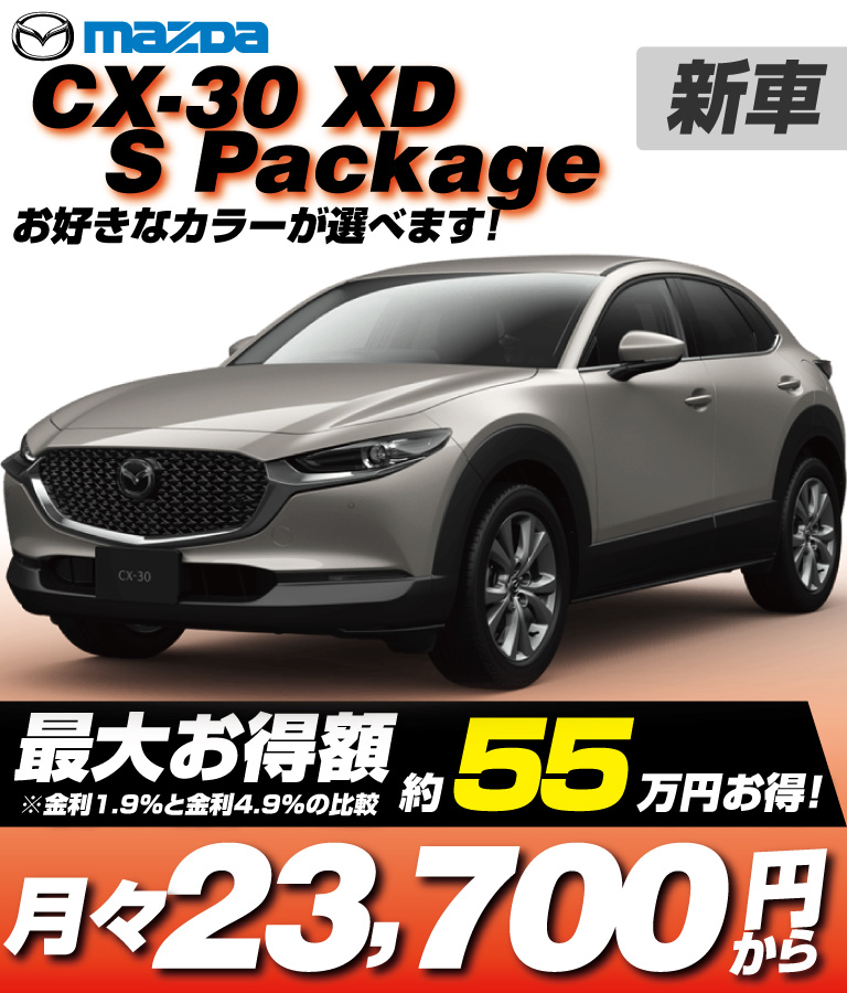 XD S Package