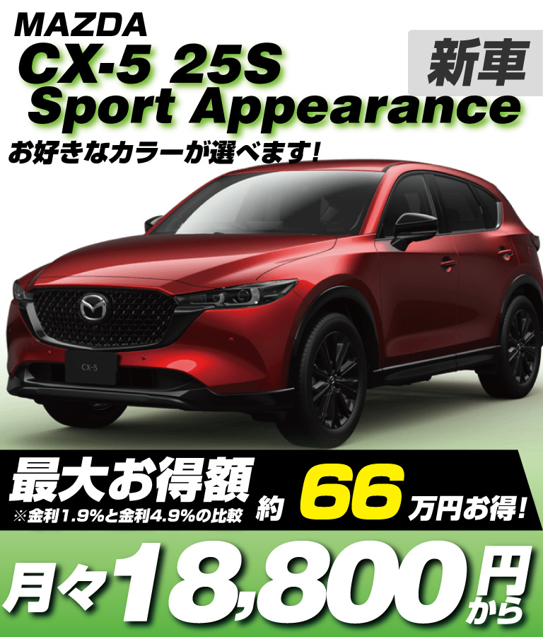 25S Sport Appearance