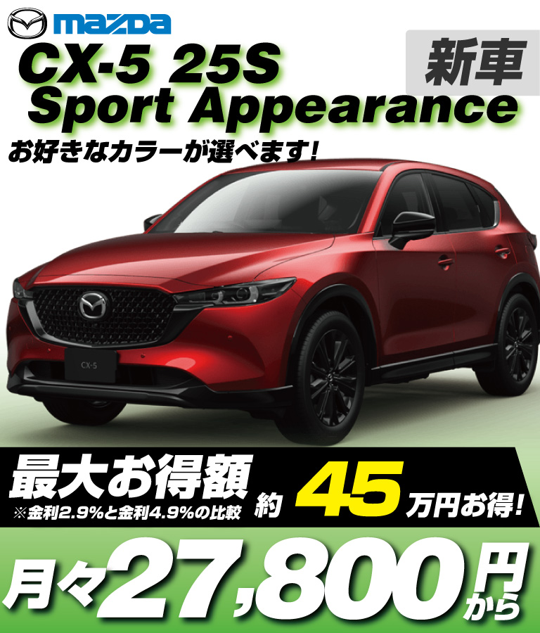 25S Sport Appearance