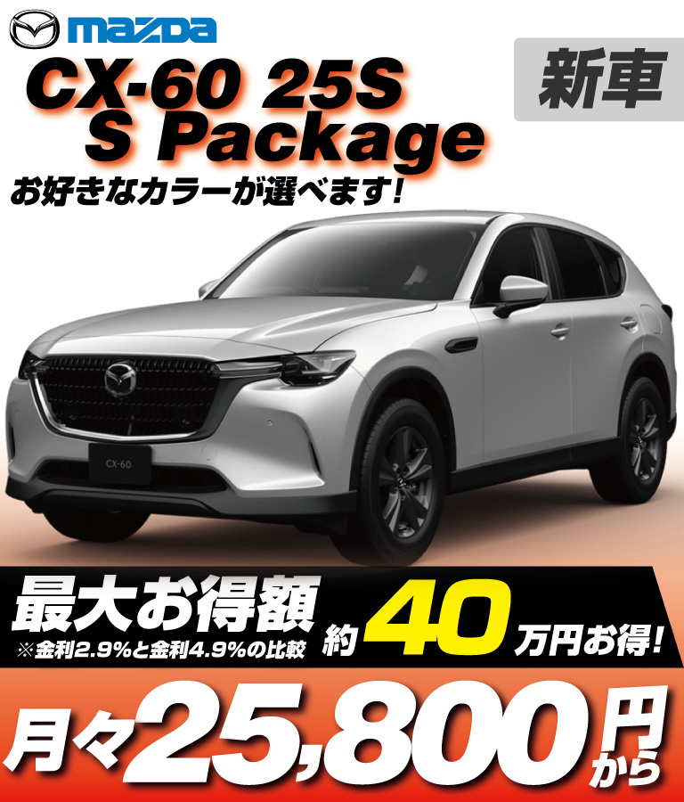 25S S Package