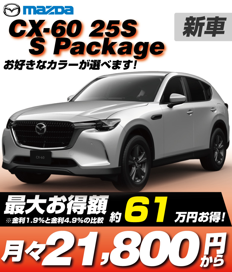 25S S Package