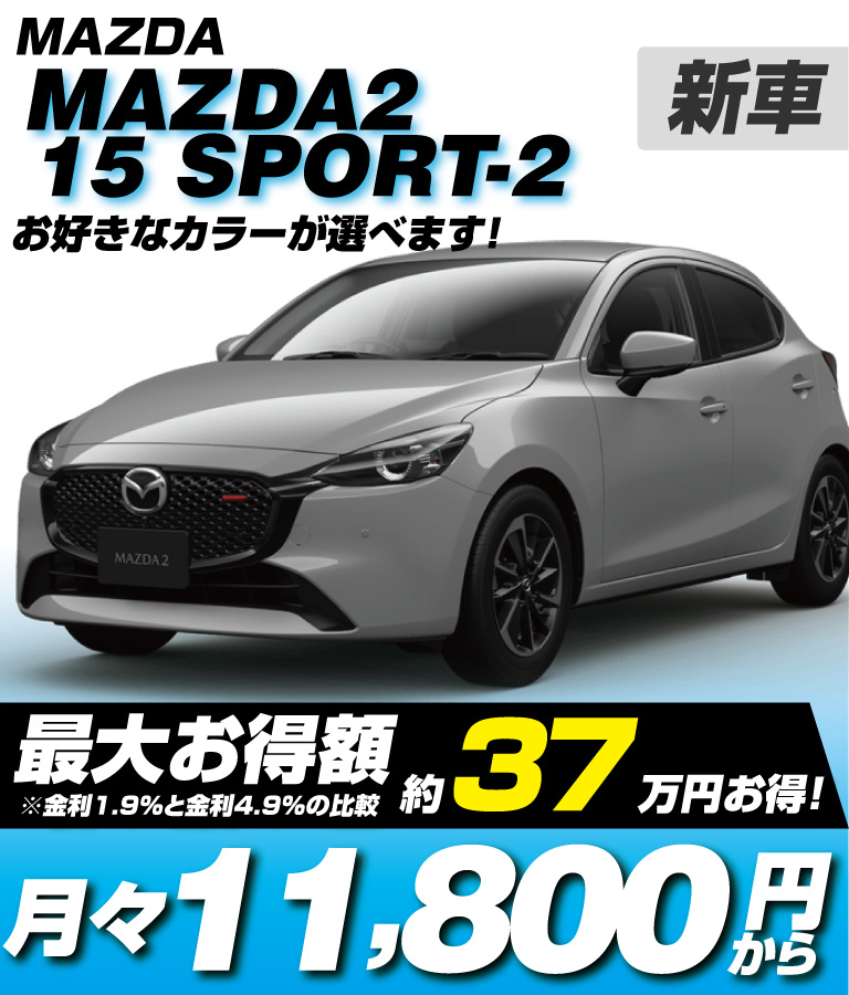 15 SPORT Ⅱ(AT)