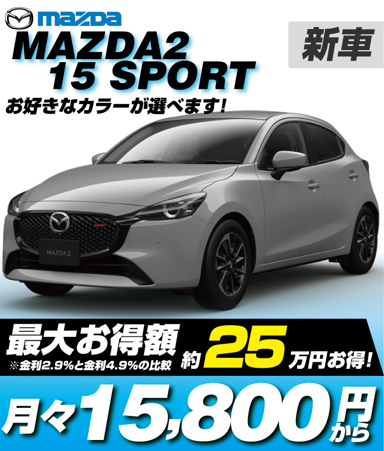 15 SPORT (AT)