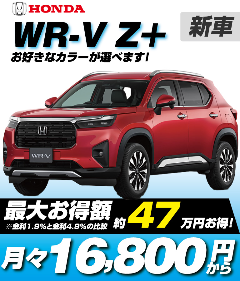Z＋