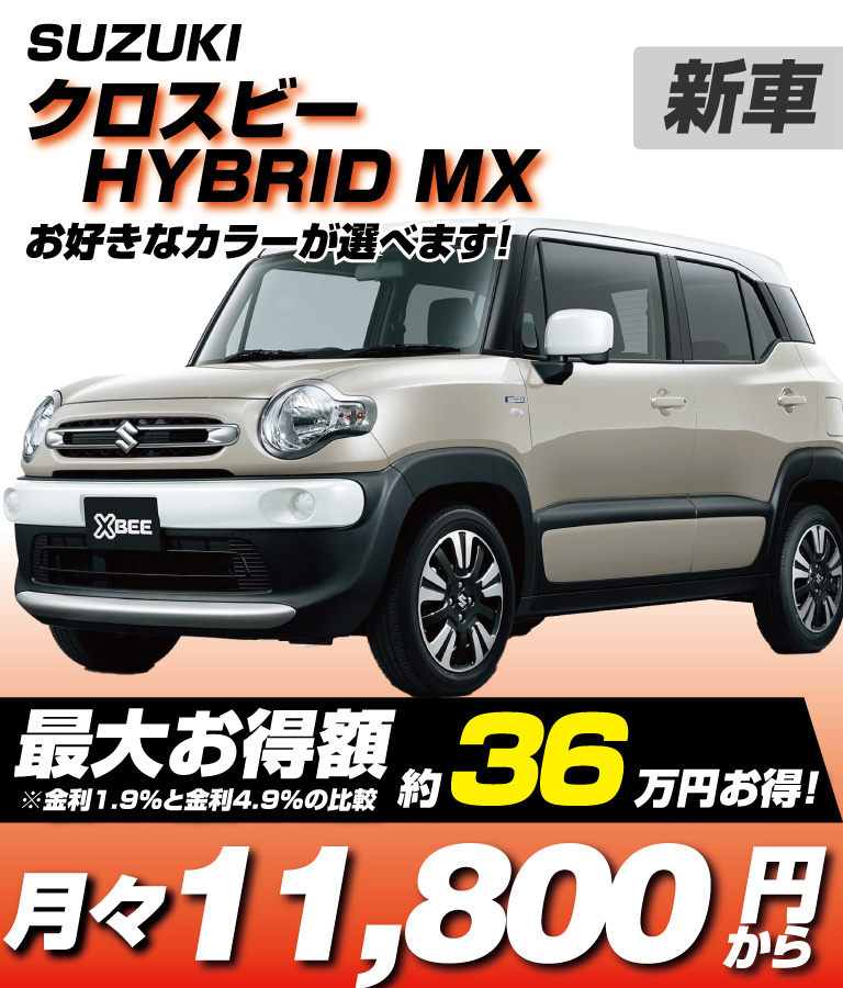 HYBRID MX