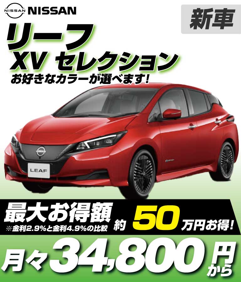 XVセレクション