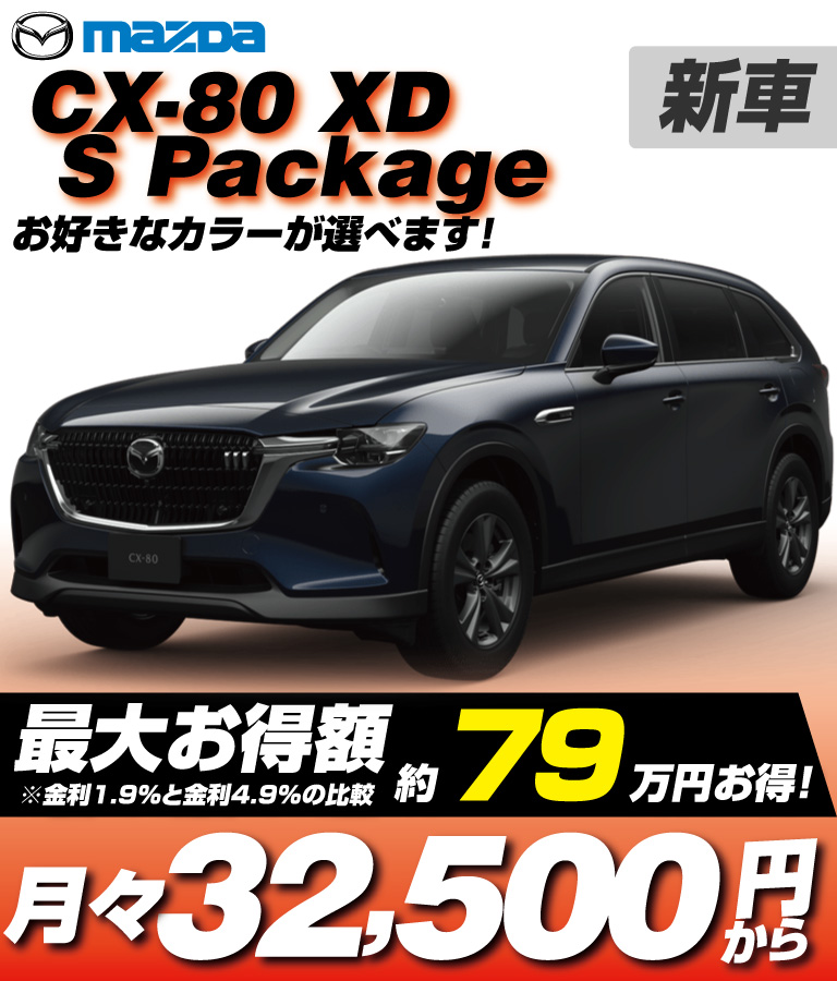 XD  S Package