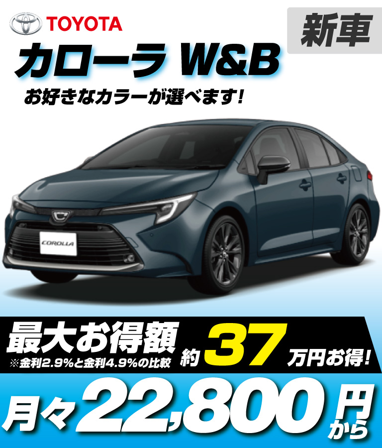 W×B