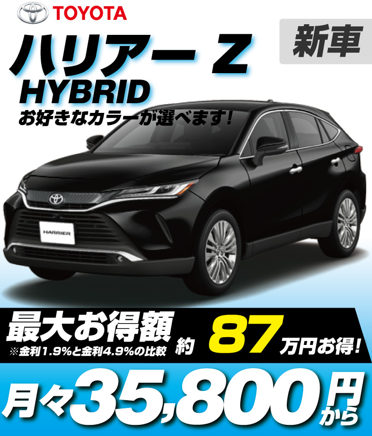 Z(HV)