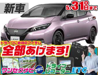<br />
<b>Warning</b>:  Undefined variable $cf_recommend_CarGrade in <b>/home/cesup/suv-compactcar.com/public_html/cms2024/wp-content/themes/original/template/parts/pt-carlist-newcarbox.php</b> on line <b>11</b><br />
日産リーフ