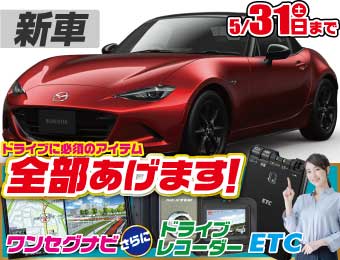 <br />
<b>Warning</b>:  Undefined variable $cf_recommend_CarGrade in <b>/home/cesup/suv-compactcar.com/public_html/cms2024/wp-content/themes/original/template/parts/pt-carlist-newcarbox.php</b> on line <b>11</b><br />
マツダロードスター