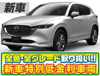 <br />
<b>Warning</b>:  Undefined variable $cf_recommend_CarGrade in <b>/home/cesup/suv-compactcar.com/public_html/cms2024/wp-content/themes/original/template/parts/pt-carlist-newcarbox.php</b> on line <b>11</b><br />
マツダCX-5