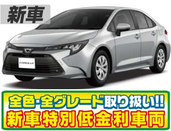 <br />
<b>Warning</b>:  Undefined variable $cf_recommend_CarGrade in <b>/home/cesup/suv-compactcar.com/public_html/cms2024/wp-content/themes/original/template/parts/pt-carlist-newcarbox.php</b> on line <b>11</b><br />
トヨタカローラ