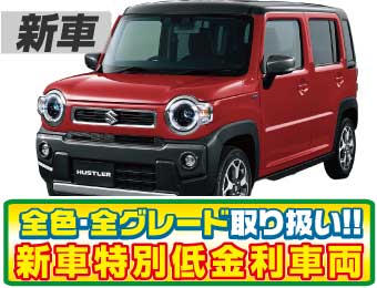 <br />
<b>Warning</b>:  Undefined variable $cf_recommend_CarGrade in <b>/home/cesup/suv-compactcar.com/public_html/cms2024/wp-content/themes/original/template/parts/pt-carlist-newcarbox.php</b> on line <b>11</b><br />
スズキハスラー