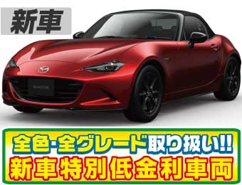 <br />
<b>Warning</b>:  Undefined variable $cf_recommend_CarGrade in <b>/home/cesup/suv-compactcar.com/public_html/cms2024/wp-content/themes/original/template/parts/pt-carlist-newcarbox.php</b> on line <b>11</b><br />
マツダロードスター