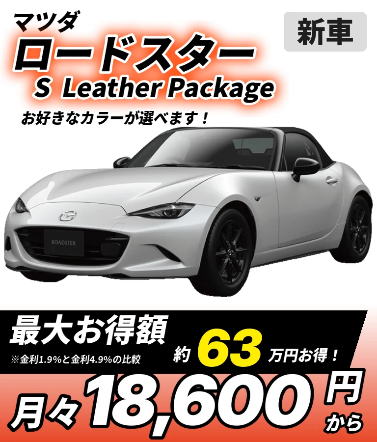S  Leather Package
