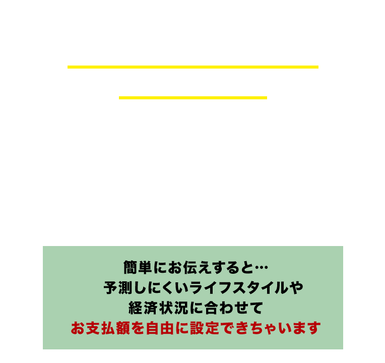 トータスオリジナル楽楽プランって何？